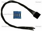 36533PG
