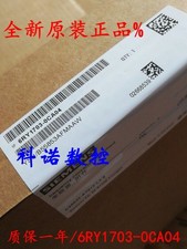 6RY1703-0CA04